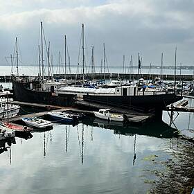 Louth and Carlingford's vibrant culinary & hiking scene Image
