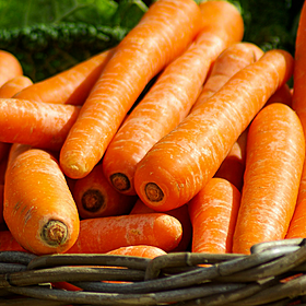 You Are What You Eat: Carrots Image