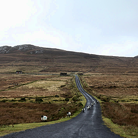Is rural Ireland being left behind when it comes to roads and broadband? Image