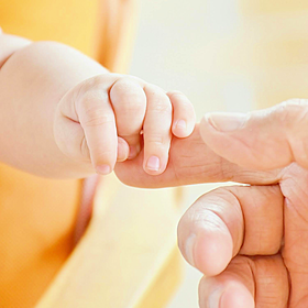 Making Babies: Debunking Myths Image