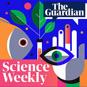 How old are we really? What a test can tell us about our biological age Image