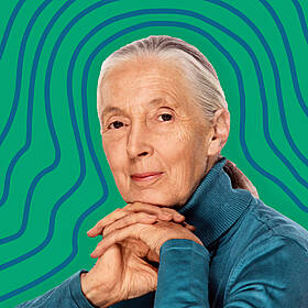 Julia Gets Wise with Jane Goodall Image