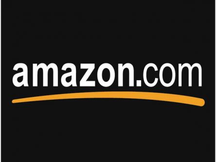 An Amazon result as e-commerce portal’s sales rise 41pc