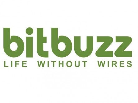 Bitbuzz emerges as top Wi-Fi carrier with over half Irish market