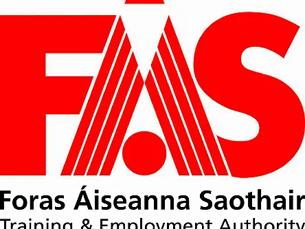 FÁS courses fail to deliver trainee certificates