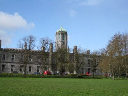 Job opportunities for graduates in West of Ireland