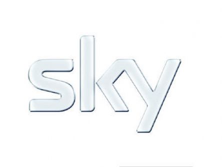 BSkyB takeover decision on hold
