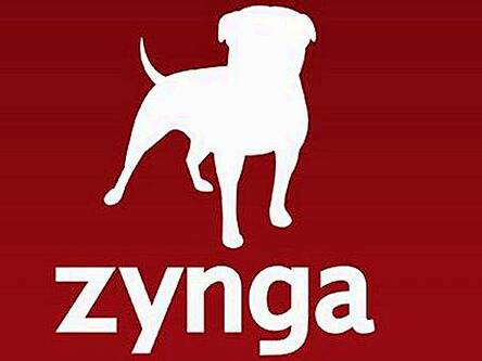 ‘Facebook effect’ and IDA ingenuity inspired Zynga expansion in Dublin