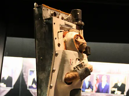 Iran to send monkey into space