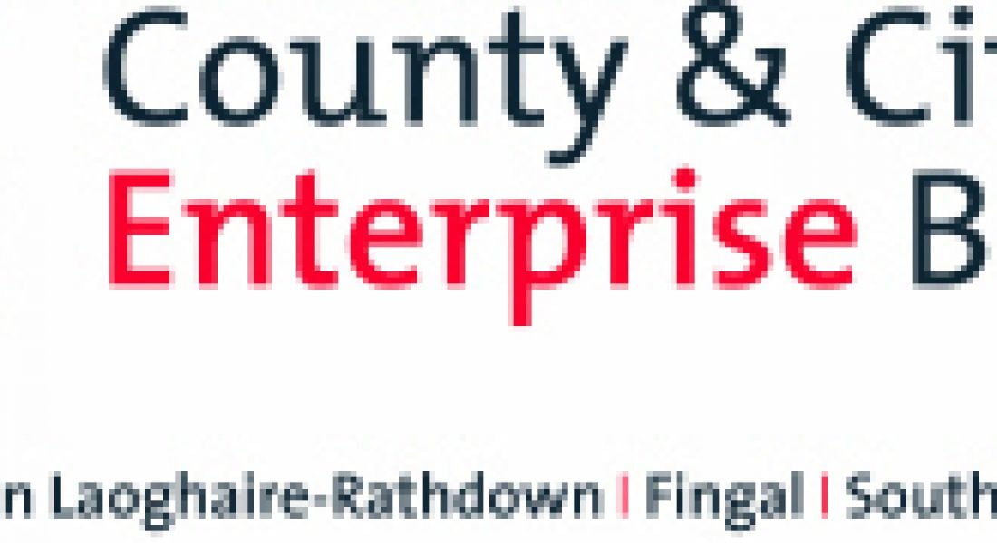 Career Zoo &#8211; County and City Enterprise Boards