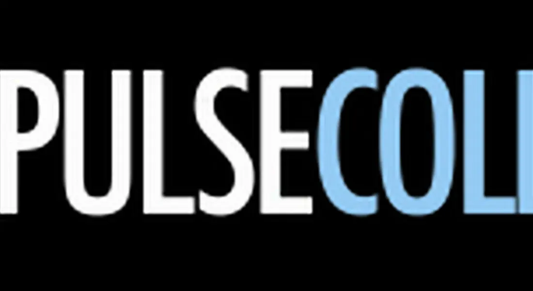 Career Zoo &#8211; Pulse College