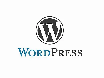 WordPress.com to let users earn money from blogs with WordAds