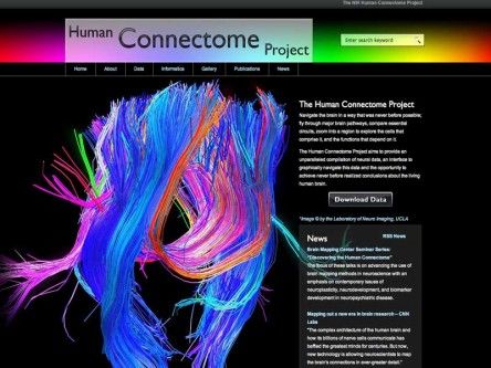 Scientists reveal 3D nerve mapping of the human brain