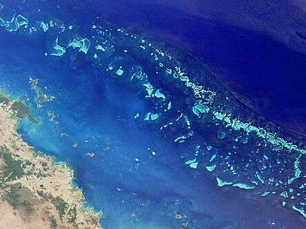 Scientists to lead ecosystem study of Great Barrier Reef