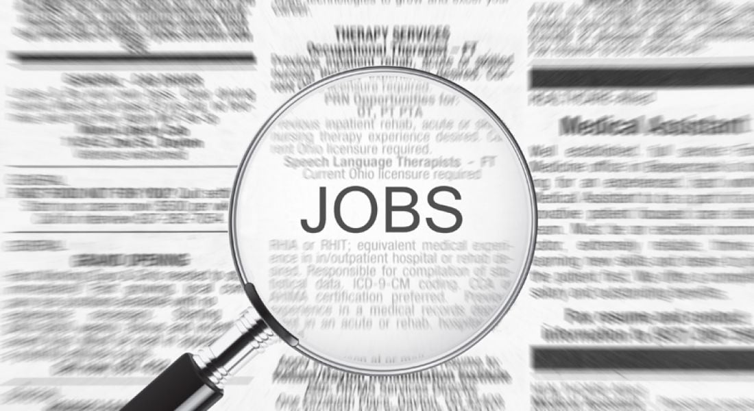 Irish Employment Monitor shows decrease in professional jobs and job seekers