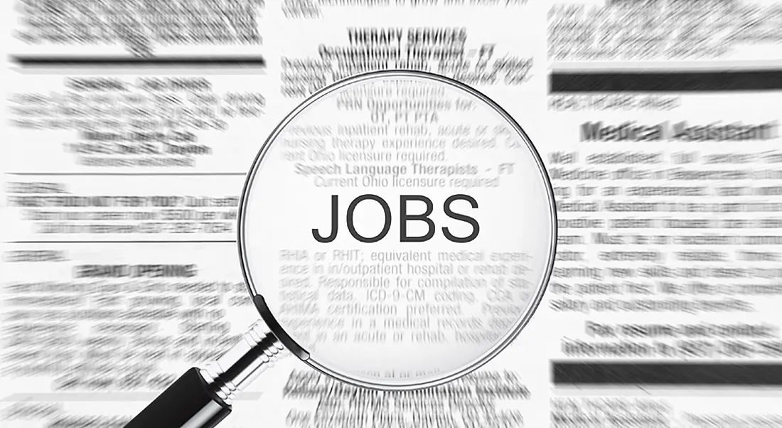 Irish Employment Monitor shows decrease in professional jobs and job seekers