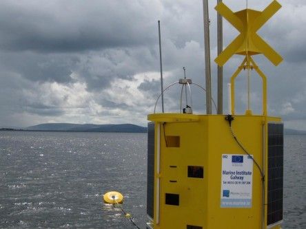 Irish marine scientist calls for more water monitoring devices to spot pollution