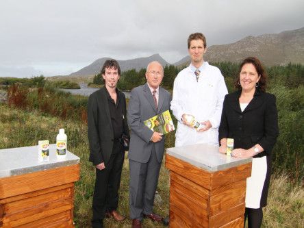 Start-up that could save the bees – and possibly the planet – raises €300k