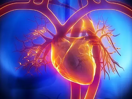 Irish-led team develops cells that may help regenerate cardiac cells