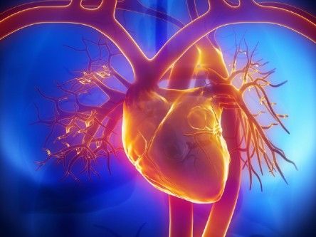 Irish-led team develops cells that may help regenerate cardiac cells