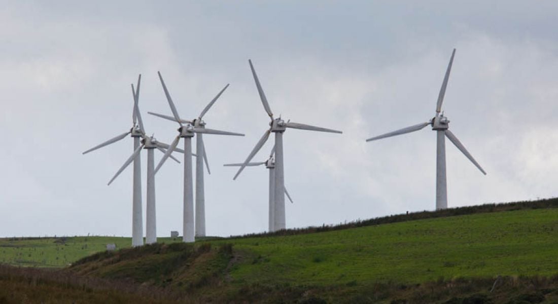 Bord na Móna wind farm to create 150 construction jobs in Offaly