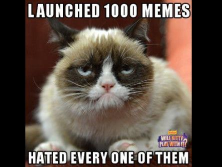 Celebrating six months of Grumpy Cat (memes and video)