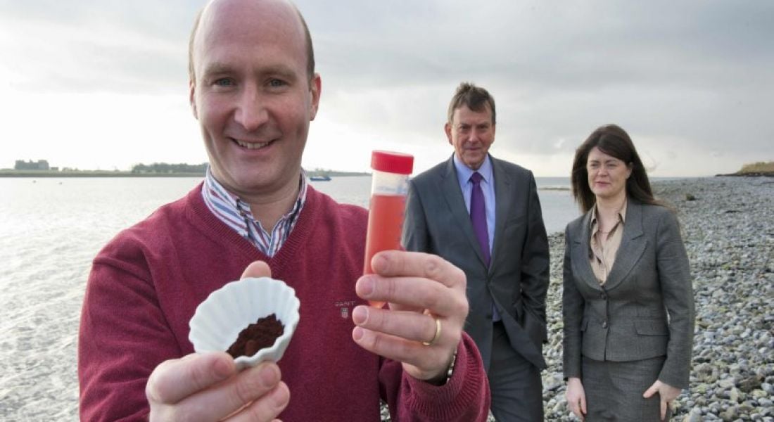 €1m biotech investment in Algae Health paves way for 23 Galway jobs