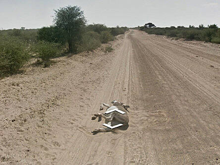 Google says it did not kill a donkey in Botswana