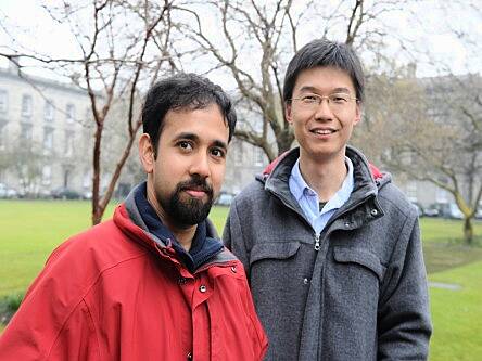 TCD Lero team in €2.5m study into how ecology can help make better software