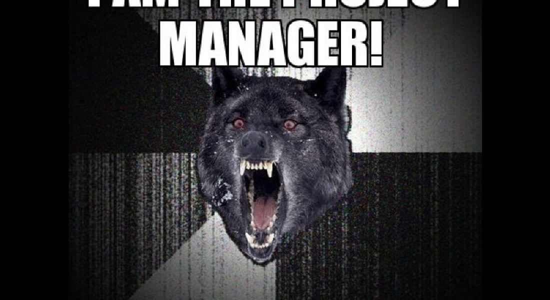 Career memes of the week: project manager