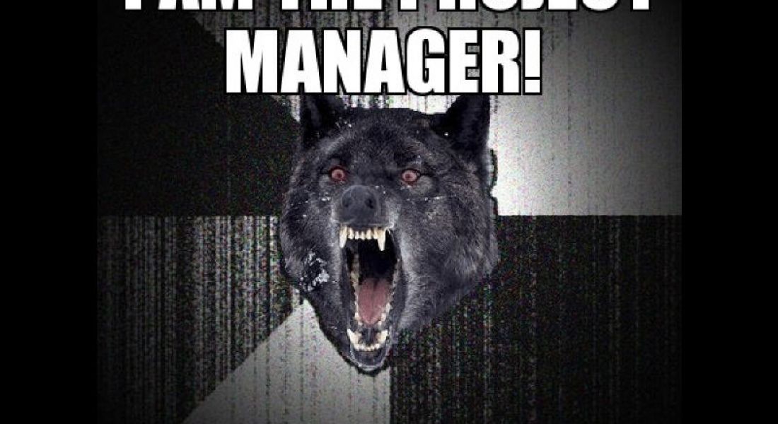 Career memes of the week: project manager - Careers | siliconrepublic