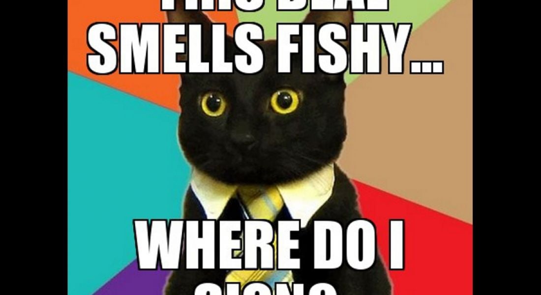 Creating Cat Memes Is Officially A Paying Job Careers Siliconrepublic Com Ireland S Technology News Service