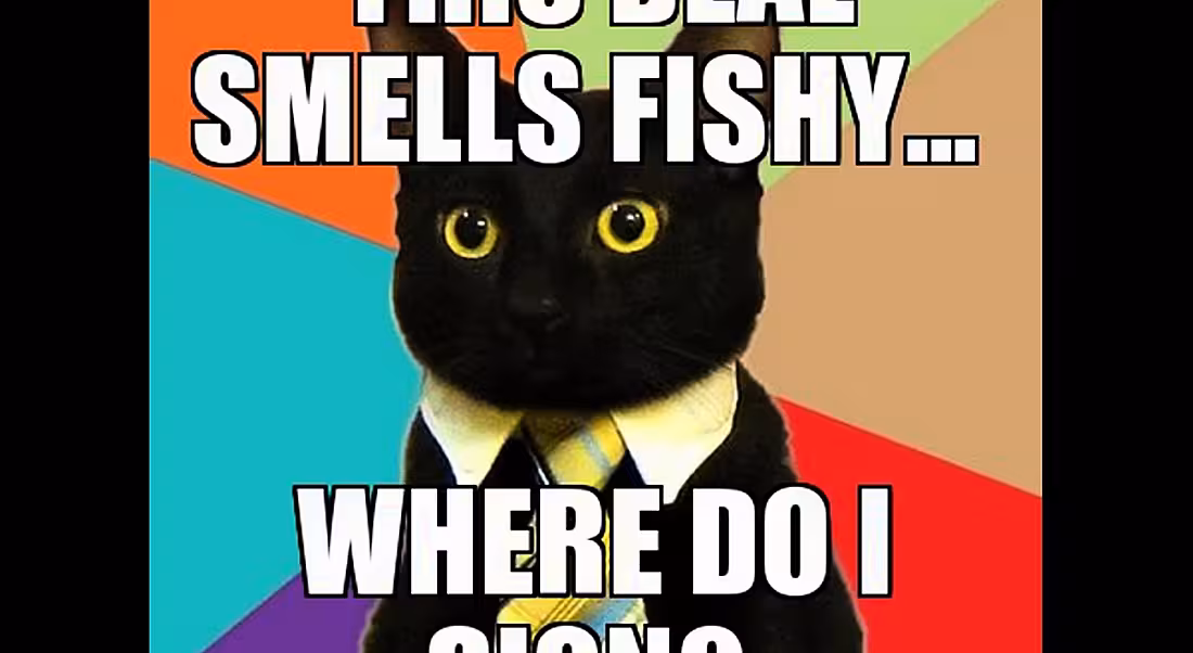 Creating cat memes is officially a paying job