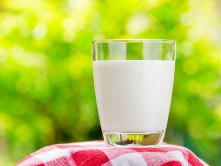 €21m investment in ‘milk mining’ will create 73 jobs