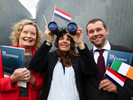 Netherlands overtakes Ireland as No 1 for entrepreneurship – analysis