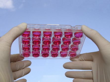 Ireland’s first stem cell production lab opens in NUI Galway