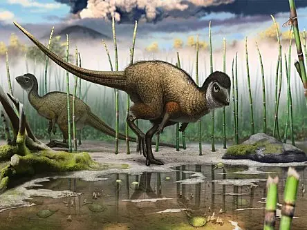 UCC researcher and team make landmark dinosaur discovery