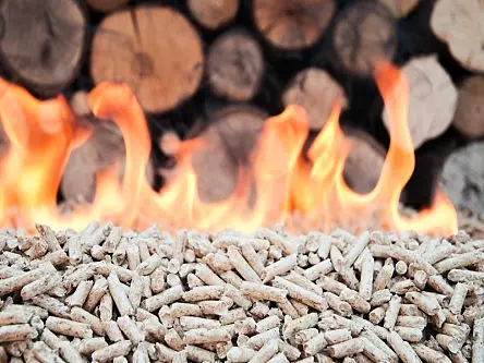 Irish Government foresees bioenergy future with new plan