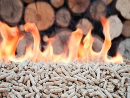 Irish Government foresees bioenergy future with new plan