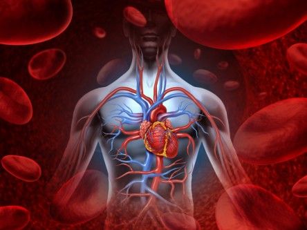 Biotech player Heart Metabolics raises US$20m in Series A financing