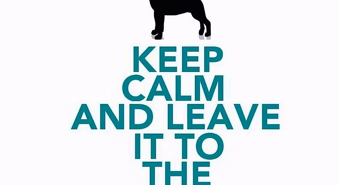 Career memes of the week: veterinarian