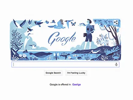 Rachel Louise Carson’s 107th birthday is immersed in marine wildlife Google Doodle