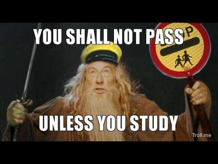 20 images that sum up the Leaving Cert from start to finish