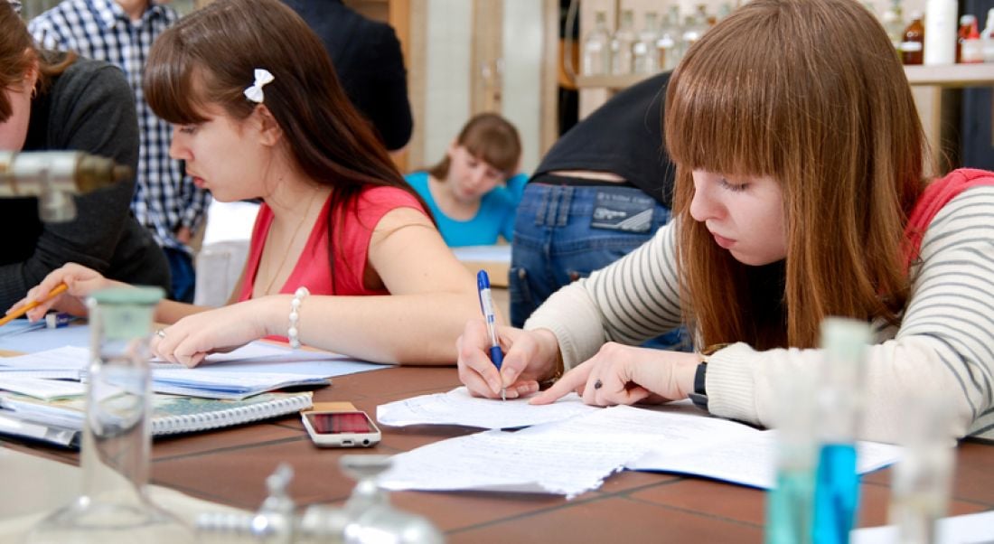 Employment bodies focus on STEM success as Leaving Cert results are revealed