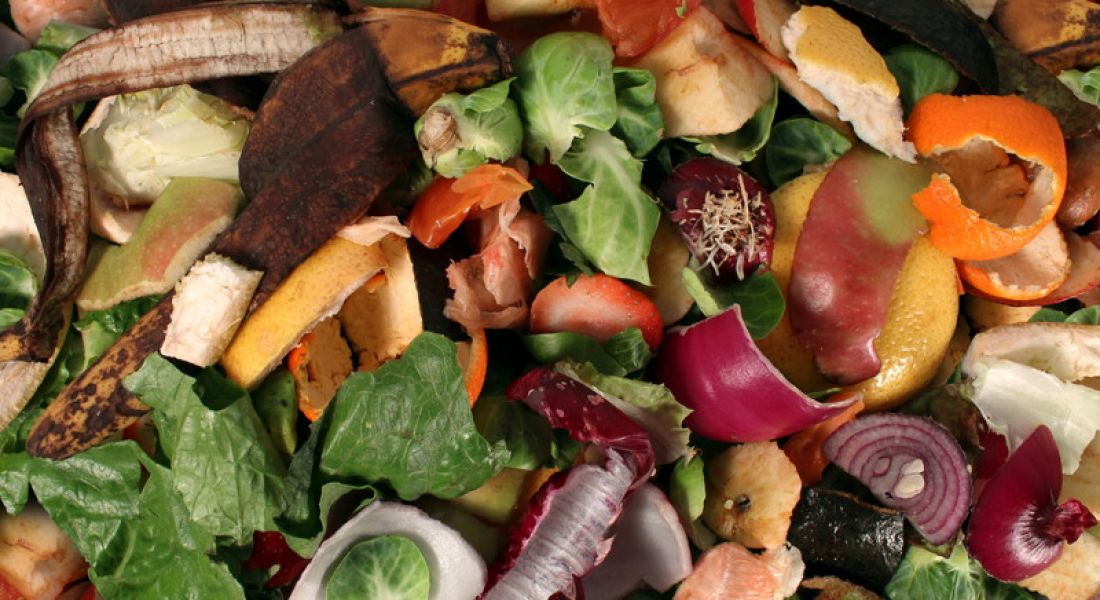 Food waste recycling company to create 45 jobs