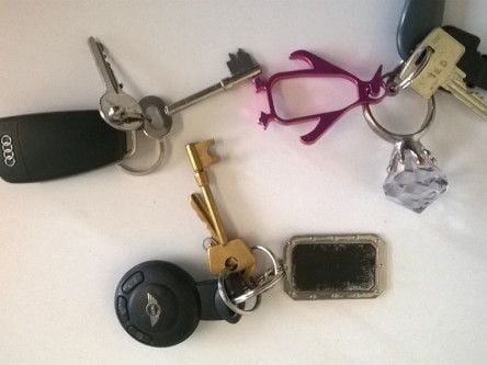 Gardaí release photos of items lost at Electric Picnic