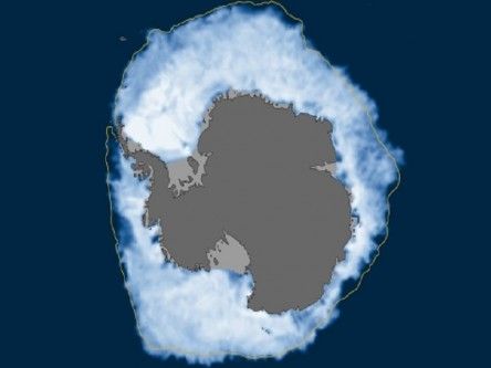 Record Antarctic sea ice in midst of record melting perplexes scientists
