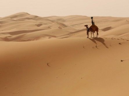 Google hires camel to record desert for Google Maps