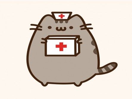 Gigglebit: Pusheen cat’s chemistry safety tips