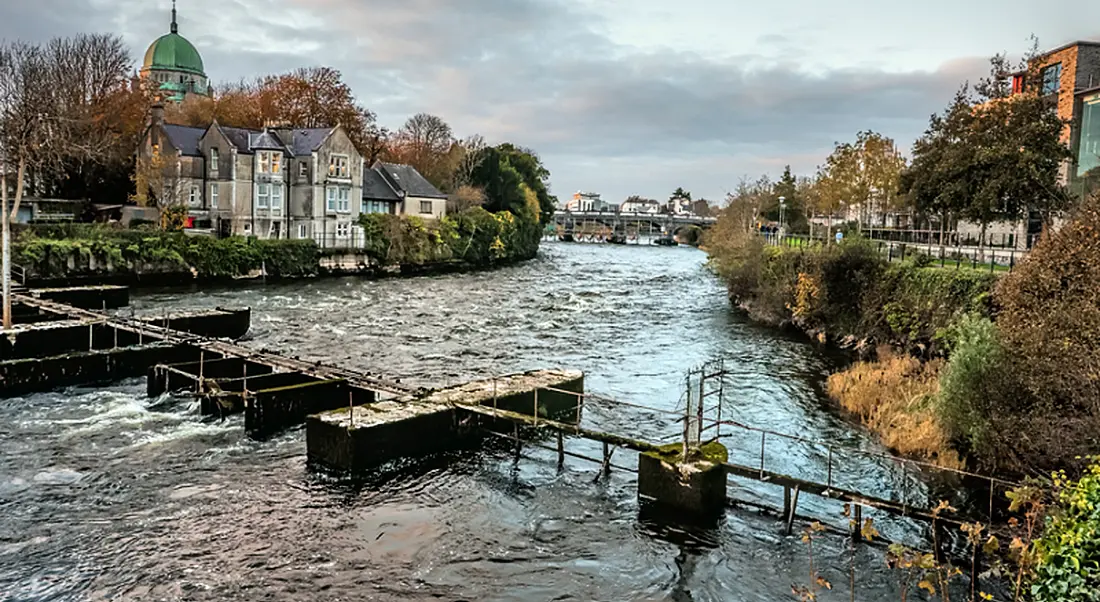 Avaya to create 75 new tech jobs in Galway